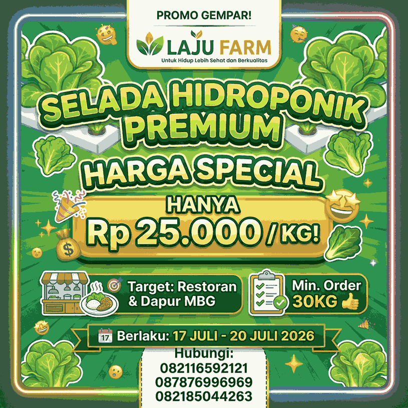 💥 *PROMO GEMPAR KHUSUS JURAGAN RESTO & DAPUR MBG!! SELADA HIDROPONIK PREMIUM CUMA Rp 25.000/KG!* 💥